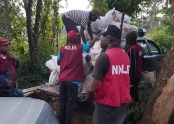 NDLEA Arrests 35 Persons, Intercepts Heroin, Skunk in 12 States