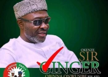 JUST IN | Unknown Gunmen Abduct Abia Lawmaker-elect, Ginger Onwusibe