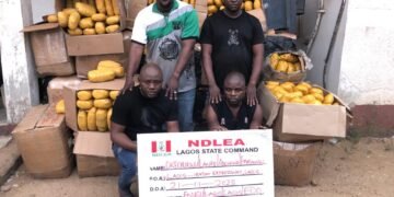 6 Drug Traffickers Bag 156 Years Imprisonment in Lagos, Ogun