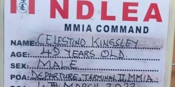 Kingsley Celestino