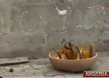 Lagos: Animal Sacrifices Spotted at Polling Units amidst Guber, Assembly Polls