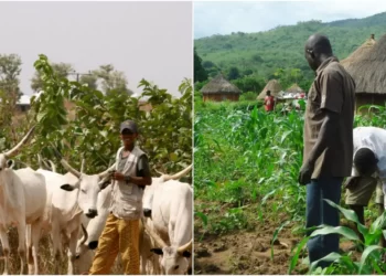Anger in Benue Communities as Scores Killed in Fresh Herders-farmers Clashes