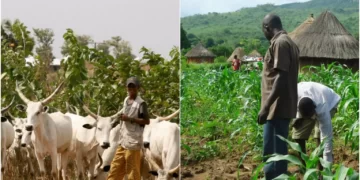 Anger in Benue Communities as Scores Killed in Fresh Herders-farmers Clashes