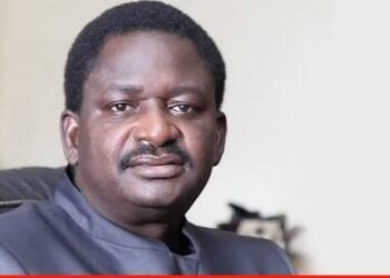 OPINION | I Refuse to Give up on INEC, By Femi Adesina