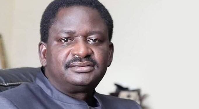 *Femi Adesina