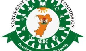 Transparency Groups Allege Massive Corruption in NEDC