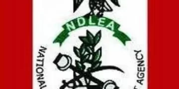 NDLEA Operatives Reject N1.2m Bribe, Intercept 367kg Cannabis Sativa