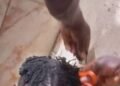 PHOTOS | Borno Hisbah Officials Shave off Youths’ Hair, Say Protecting State’s Morals | METROWATCH