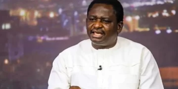Femi Adesina
