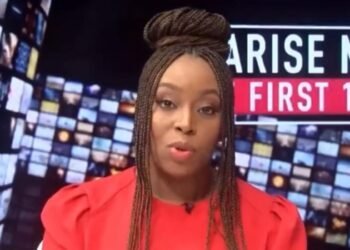 Why I Support, Admire Peter Obi — Chimamanda Adichie explains