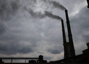 Zimbabwe to regulate carbon credit market to curb greenwashing | METROWATCH