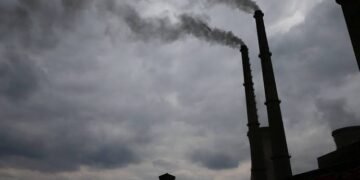 Zimbabwe to regulate carbon credit market to curb greenwashing | METROWATCH