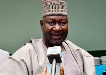 Zungeru hydroelectric power injects 700MW to grid-Minister | METROWATCH