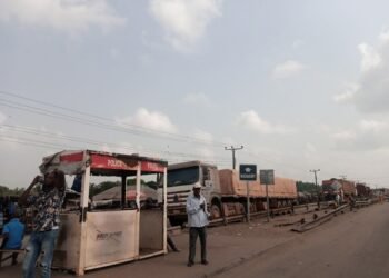 Seme Border Not Open for Vehicle Importation, Says Customs | METROWATCH