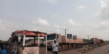 Seme Border Not Open for Vehicle Importation, Says Customs | METROWATCH