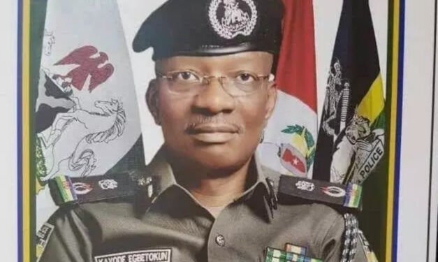 •Kayode Egbetokun, acting IGP