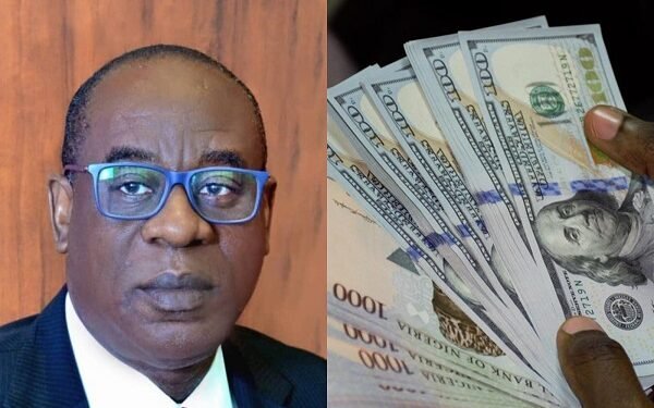 Photo combination of the Acting CBN governor and Nigerian Naira notes and U.S dollars