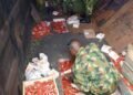 PHOTOS | Troops Intercept Truckload of Ammunition from Mali En route Anambra | METROWATCH