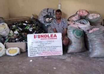 PHOTOS: NDLEA Arrests Drug Suspect, Intercepts Illicit drugs in Lagos, Ondo, Edo | METROWATCH