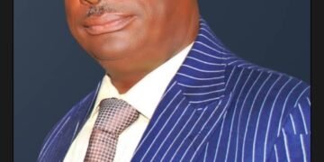 Lift Embargo on Wood Logging, Hon Bette Obi Urges Cross River Government | METROWATCH