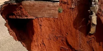 Senate asks FG to Tackle Erosion Menace in Edo | METROWATCH
