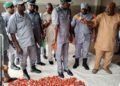 PHOTOS | Ogun Customs Intercept Contrabands, Ammunition Worth N17m