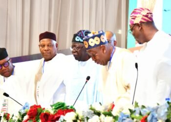 Tinubu at APC NEC, Says ‘Effective Implementation of Ideas Paramount in Addressing Needs of Nigerians’ | METROWATCH