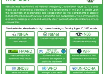 NEMA Prioritising Collaboration and Resilience Building, Says DG | METROWATCH