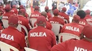 NDLEA Seizes N56.9m Worth of Illicit Drugs in FCT, Arrests 343 Suspects | METROWATCH