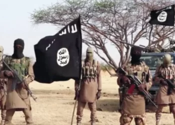 Just In | Boko Haram Releases 48 Abducted Borno Women | METROWATCH