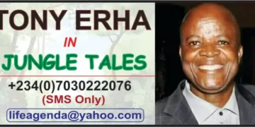 INSIGHT |  Edo 2024: Power Shift and the Inherent Disconnections, By Tony Erha | METROWATCH