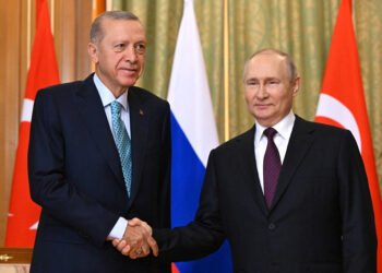 Ukraine Grain: Putin Welcomes Erdoğan in Sochi for Talks, Possible Deal | METROWATCH