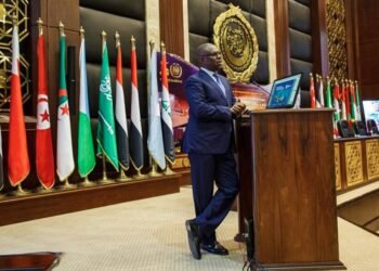 Dakuku Peterside, in Egypt, Advocates African Maritime Sector Development | METROWATCH   