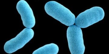 Diphtheria