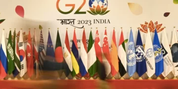 OPINION |  G20: When Nigeria Goes Fishing, By Fredrick Nwabufo | METROWATCH 