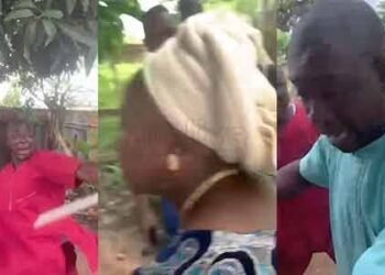 Subsidy Palliatives: Ondo Probes Attack on Commissioner as 500 Women Activists Shut Down Govt House | METROWATCH