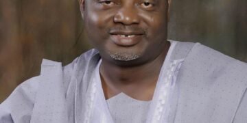 President Tinubu Appoints Ali M Ali, Issa-Onilu, 6 Others as  CEOs of Information Agencies | METROWATCH