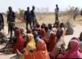 PHOTOS | Army Rescues 31 Kidnap Victims in Sokoto, Terrorists Flee | METROWATCH