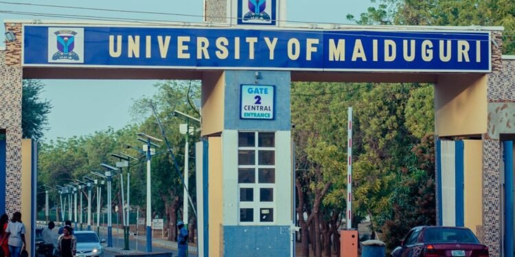 *University of Maiduguri, Borno State