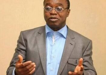 The Imperative of Diaspora Investments in Nigeria’s Trying Times | METROWATCH