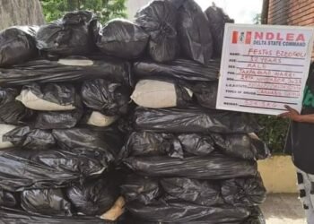 PHOTOS | NDLEA Uncovers Meth, Others in Jeans, Dolls | METROWATCH