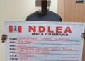 PHOTOS | NDLEA Intercepts Colorado Shipment, Arrests Suspects | METROWATCH