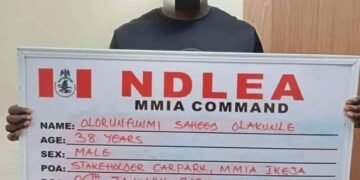 PHOTOS | NDLEA Intercepts Colorado Shipment, Arrests Suspects | METROWATCH