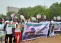 PHOTOS | Pro-Tinubu Youths Storm N’Assembly, Fault NLC’s Planned Protests | METROWATCH