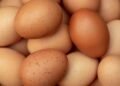 Hardship: Nigerians Lament High Cost of Eggs, Say No Longer Affordable | METROWATCH