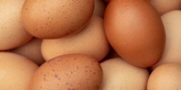 Hardship: Nigerians Lament High Cost of Eggs, Say No Longer Affordable | METROWATCH