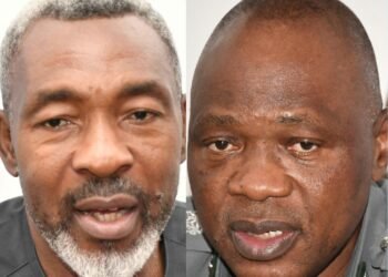 SABRE 2024: NIPR, Nigeria Customs Nominated for African PR Awards | METROWATCH