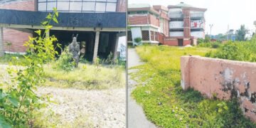 VIDEO | Edo’s Animal Museum — the true story behind a cultural district scam … (l), By Adaze Emwanta | METROWATCH