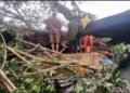 Trees Kill 4 at Jattu Market during Rainfall in Edo | METROWATCH