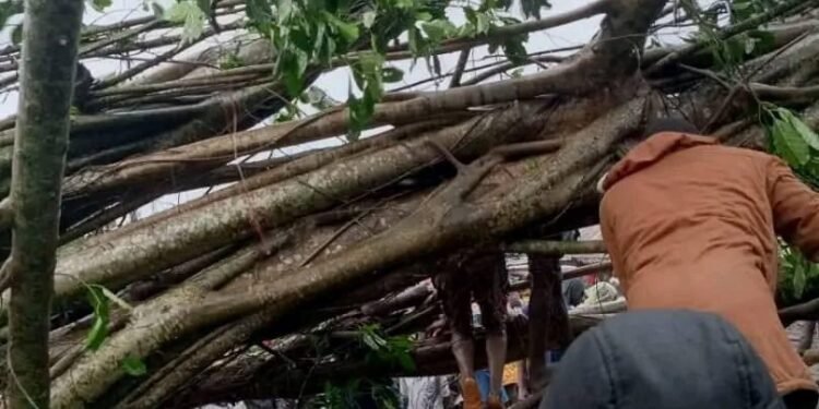 *Site of the incident